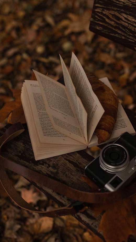 Dark Brown Aesthetic Book And Camera Background