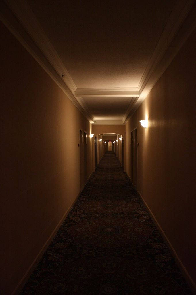 Dark Brown Aesthetic Hallway