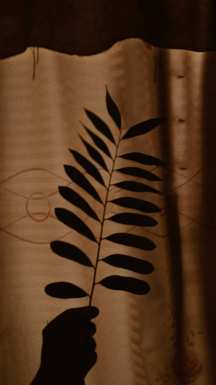 Dark Brown Aesthetic Leaf Background