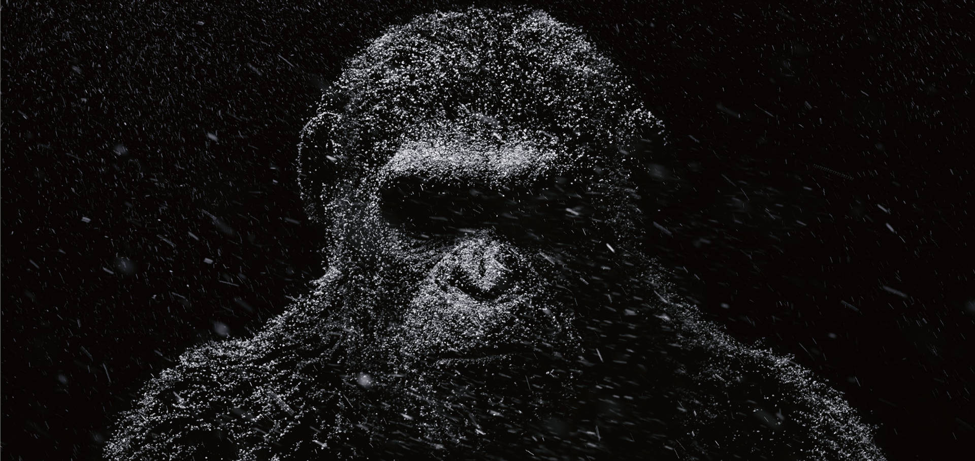 Dark Caesar Chimpanzee Background