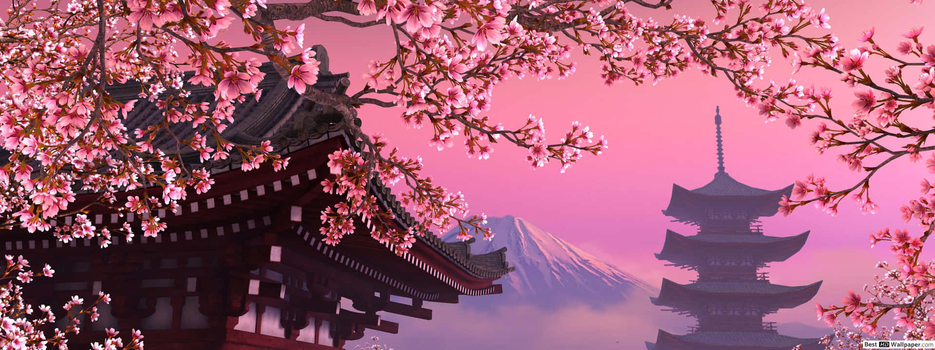 Dark Cherry Blossom Tree With The Mt. Fuji Background