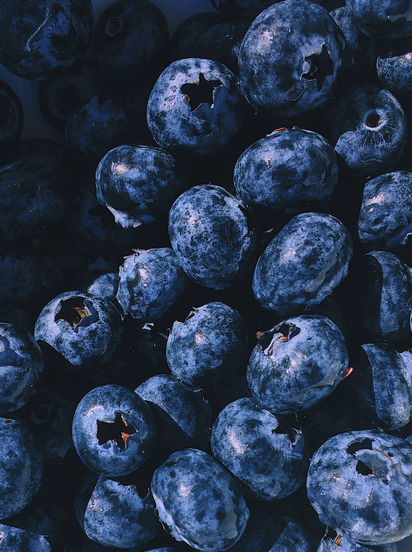 Dark Colored Blueberries Background