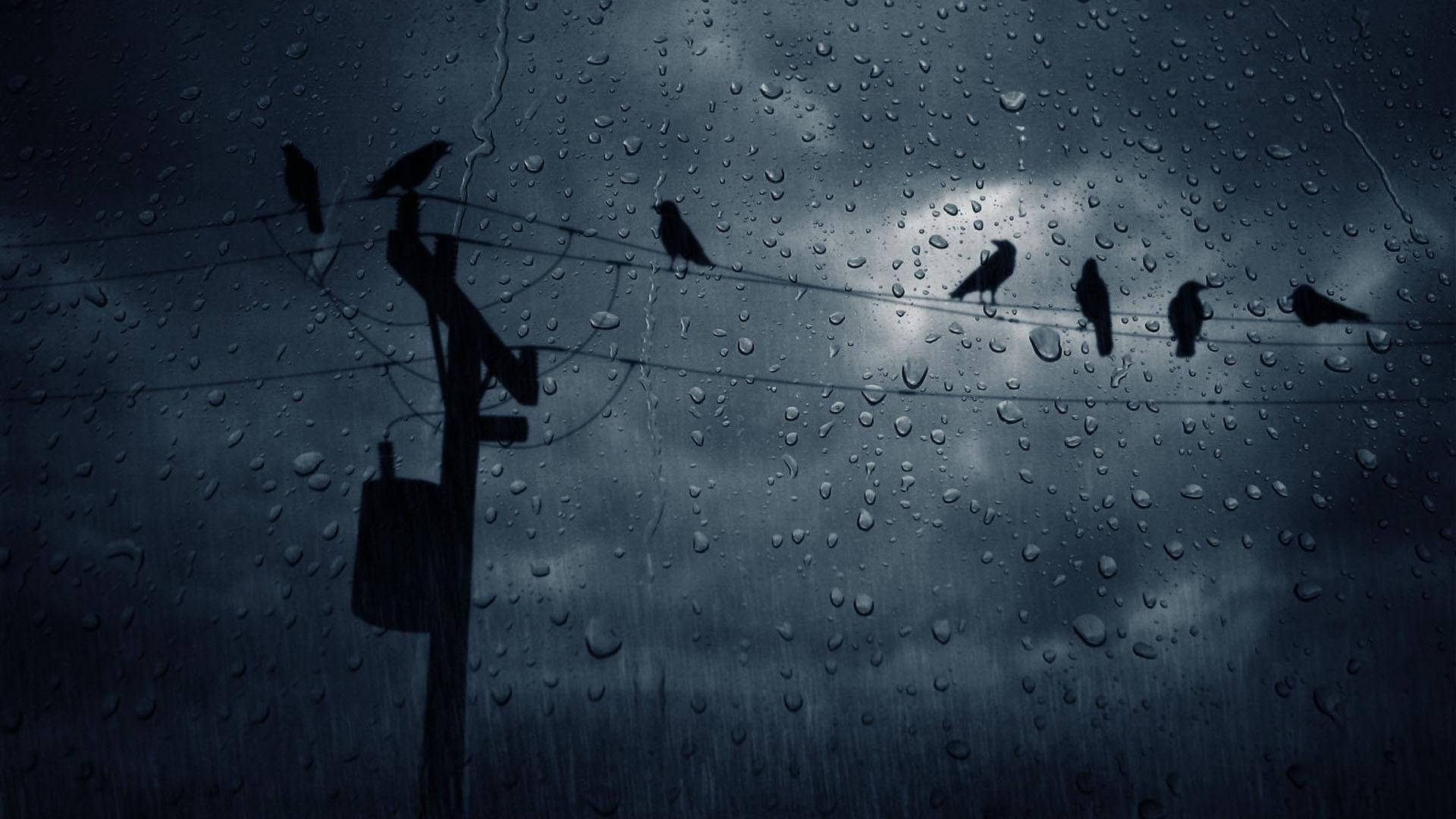 Dark Crows In The Rain Background