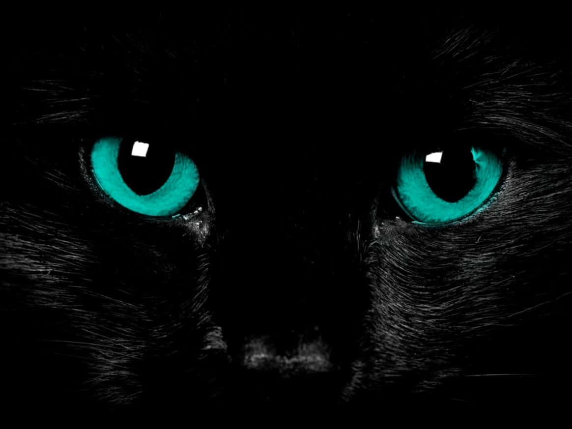 Dark Cute Cat Face Background