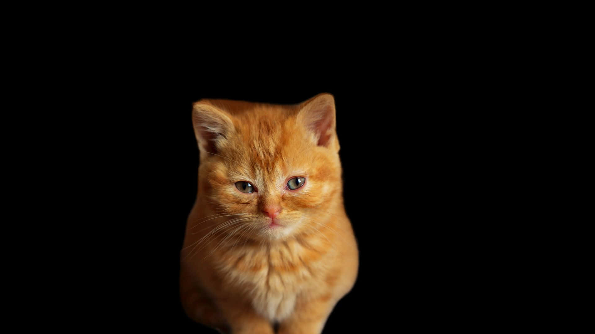 Dark Cute Laptop [wallpaper] Background