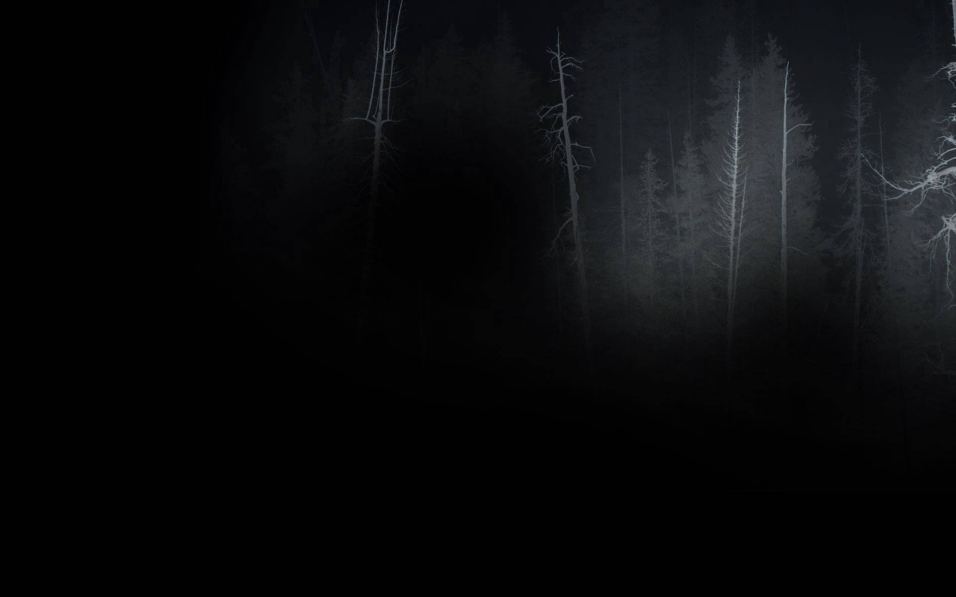 Dark Depressing Forest