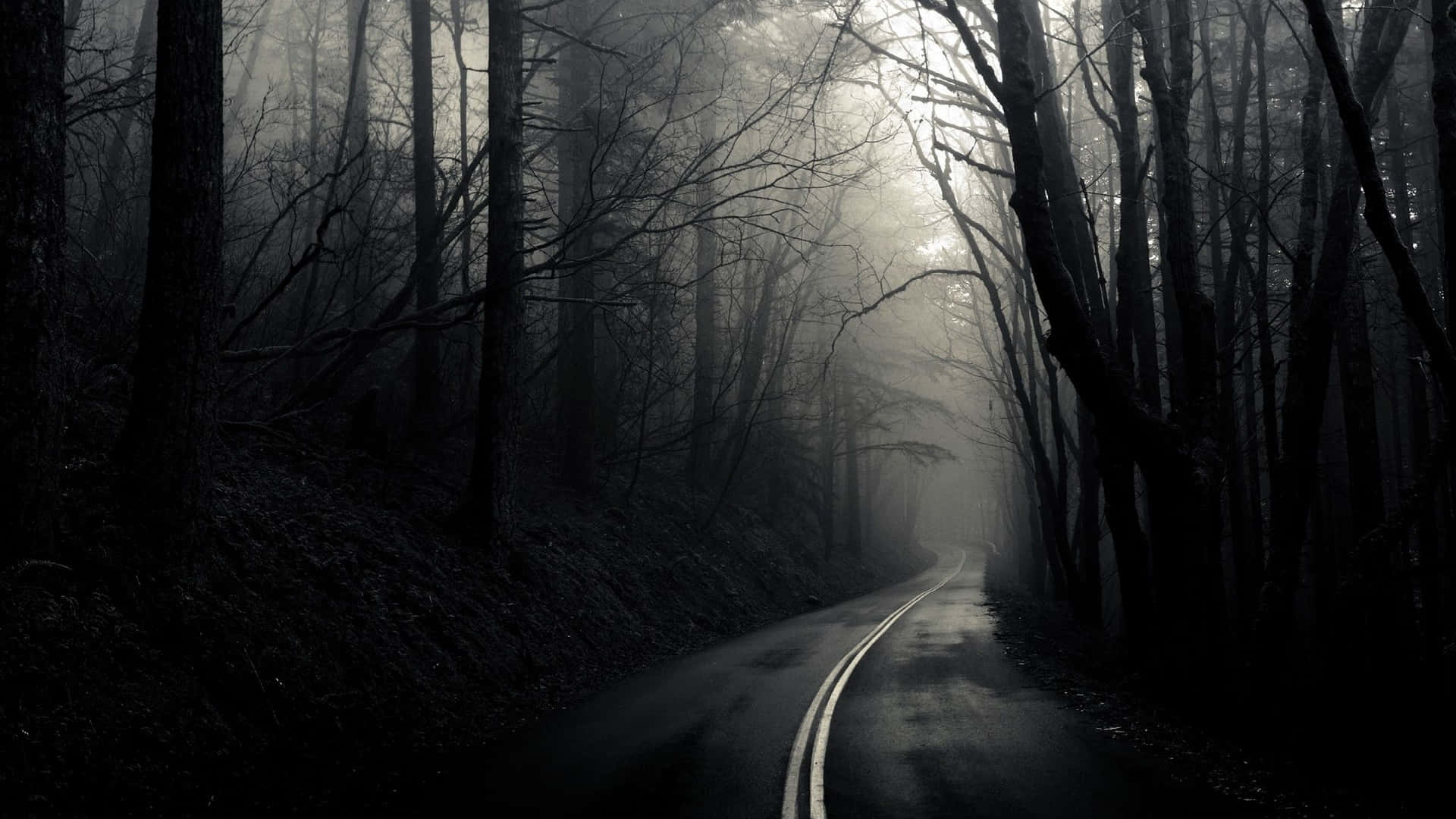 Dark Depressing Road In The Forest Background