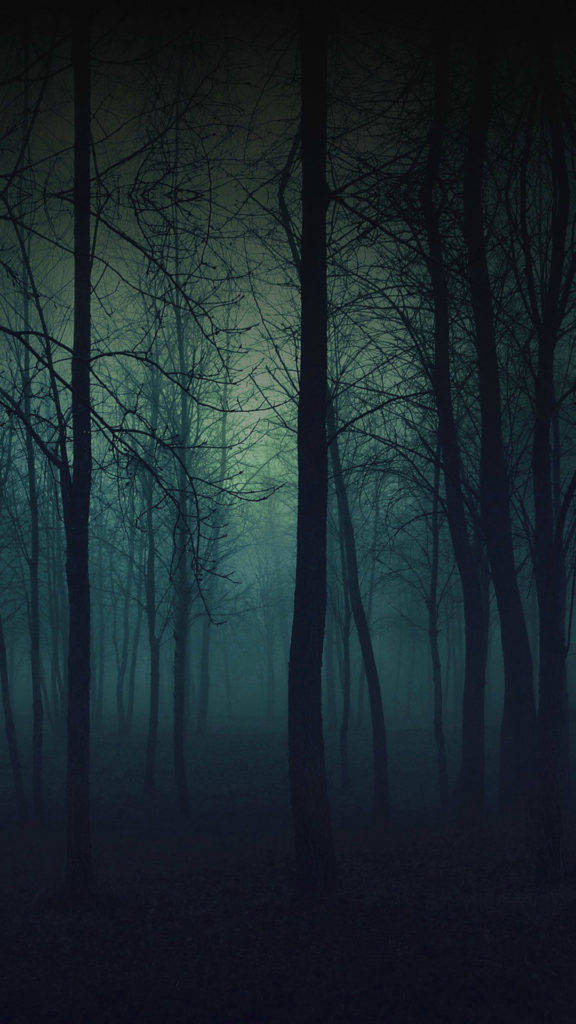 Dark Eerie Forest Iphone