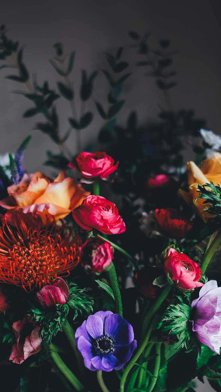 Dark Floral Arrangement Shadow Background