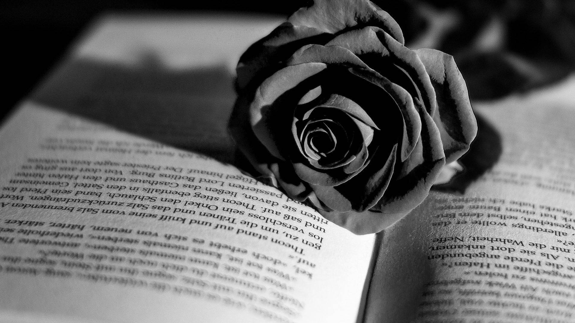 Dark Floral Rose On Book Background