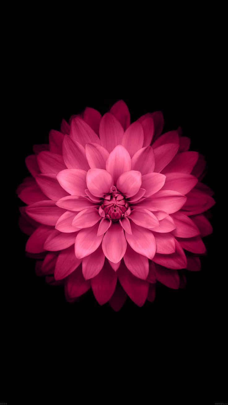 Dark Florali Phone Wallpaper Background