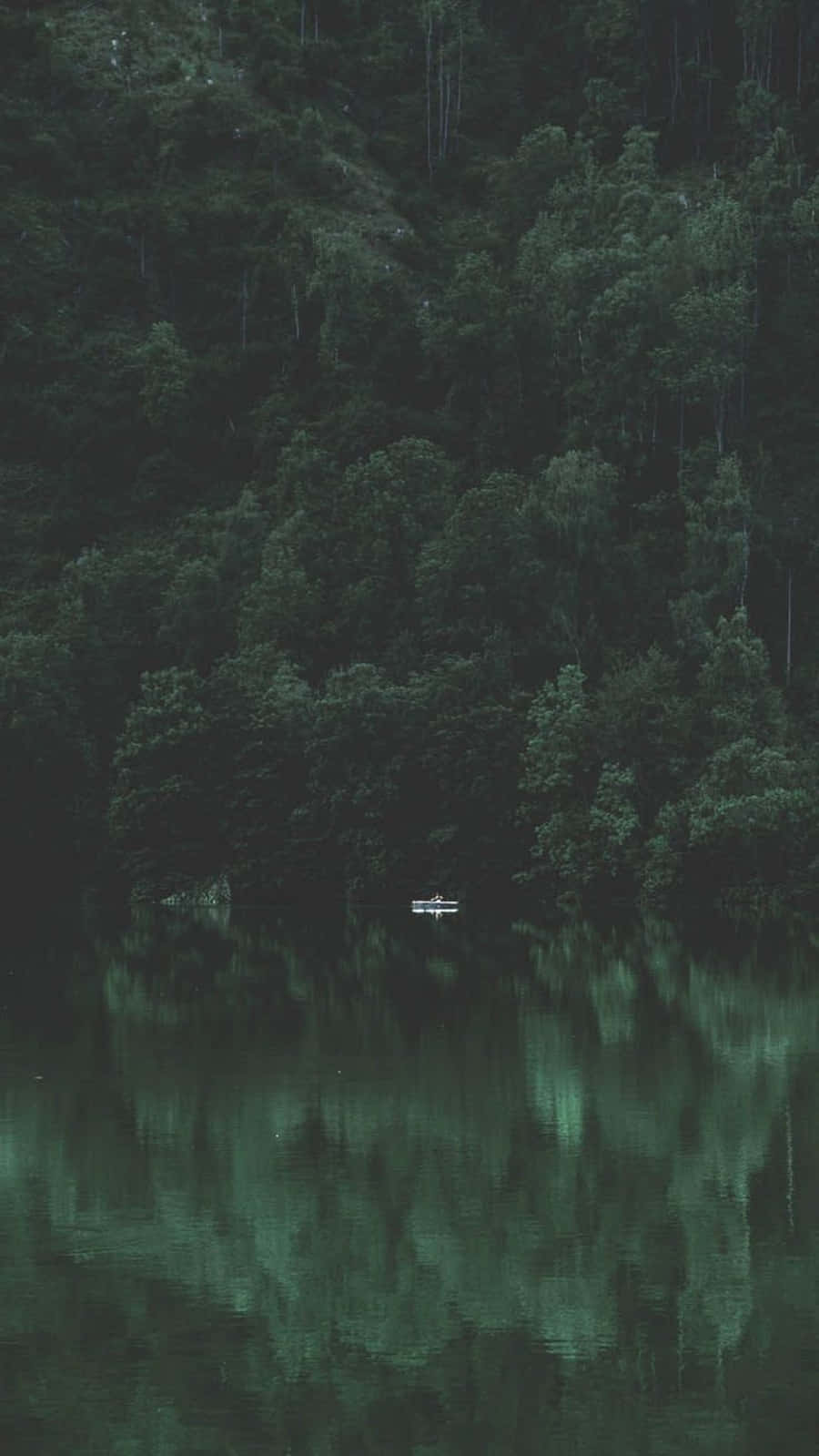 Dark Forest And River Relaxing Iphone Background
