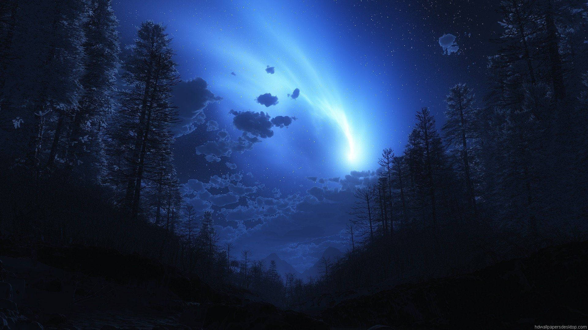 Dark Forest Anime Night Sky