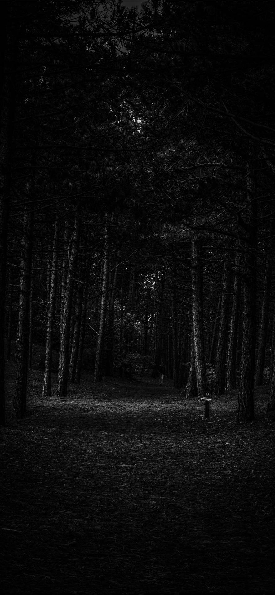 Dark Forest Black Apple Iphone Background