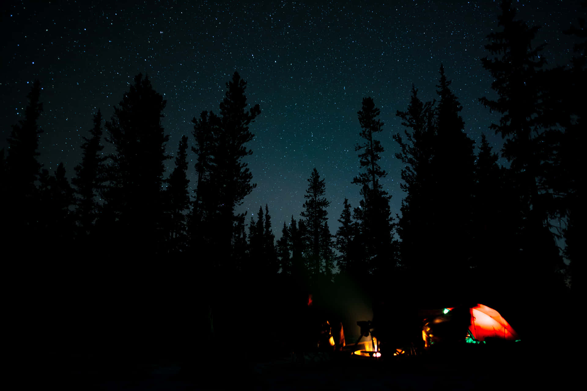 Dark Forest Camping Desktop Background