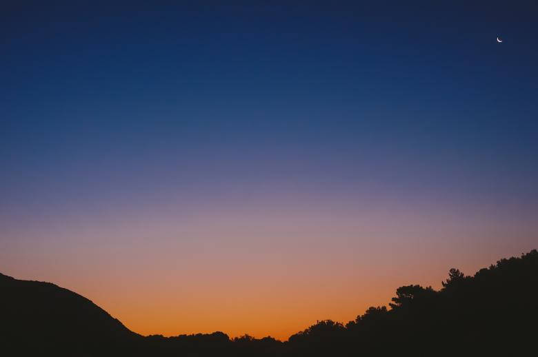 Dark Forest Iphone Dusk Shot Background