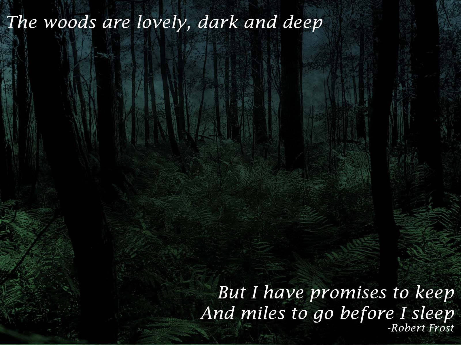 Dark Forest Woods With Quote Background