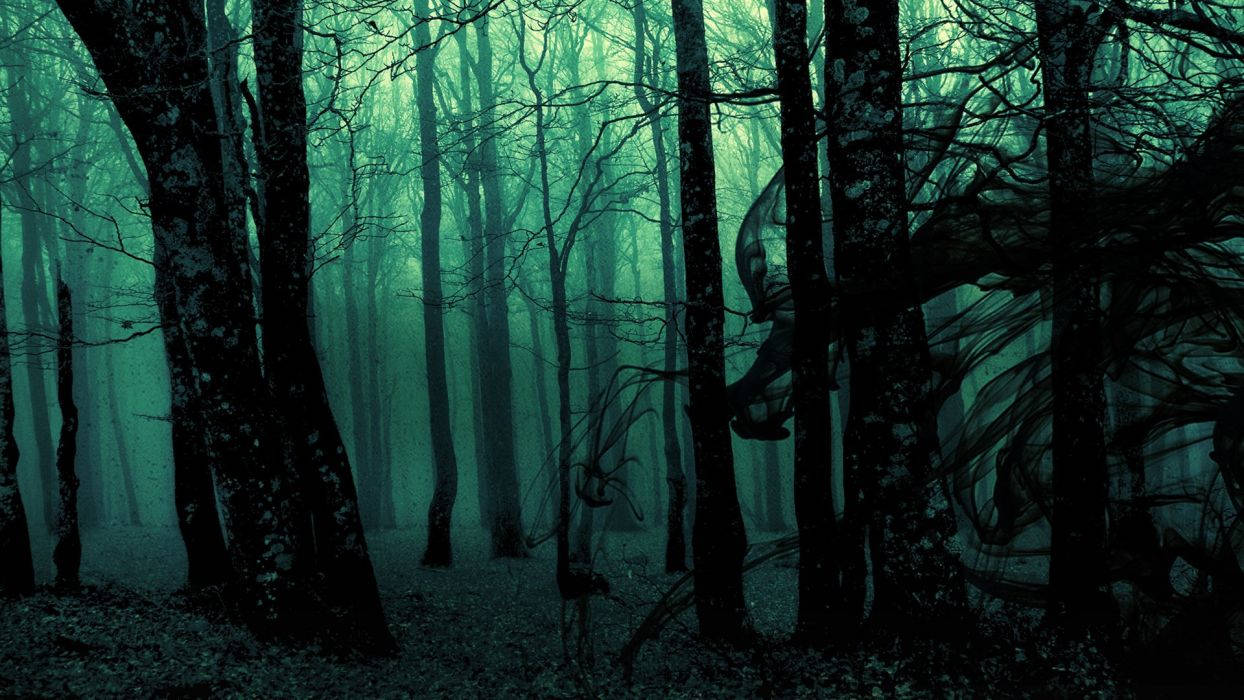 Dark Ghost Gothic Wood Trees Fantasy Evil Horror Wallpaper