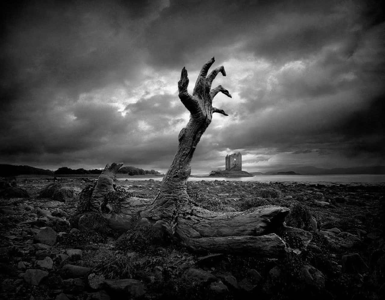 Dark Gothic Elegance Background