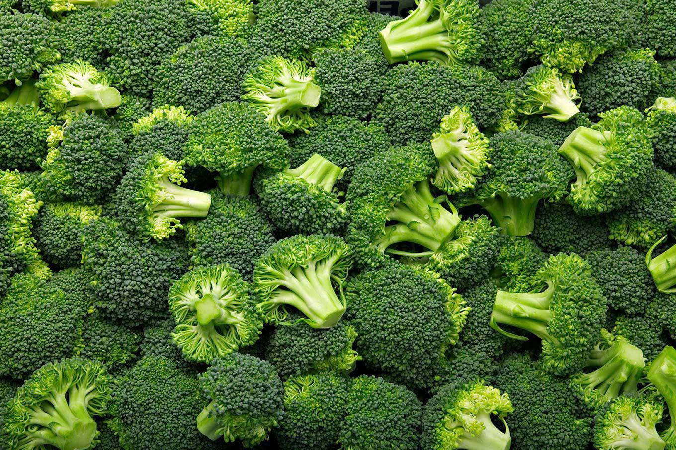 Dark Green Broccoli Background