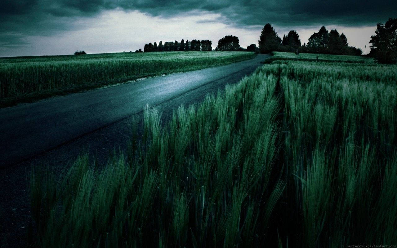 Dark Green Field Aesthetic Background