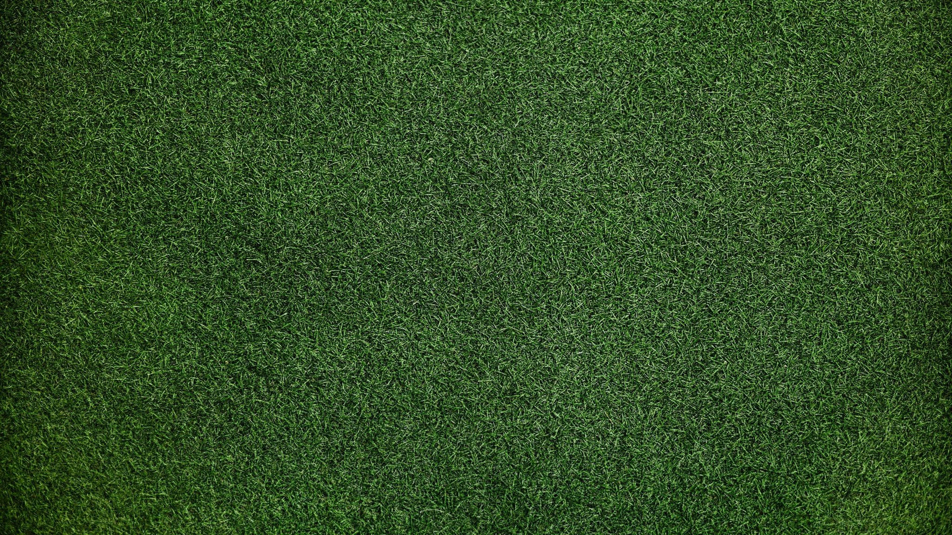 Dark Green Grass Texture Background