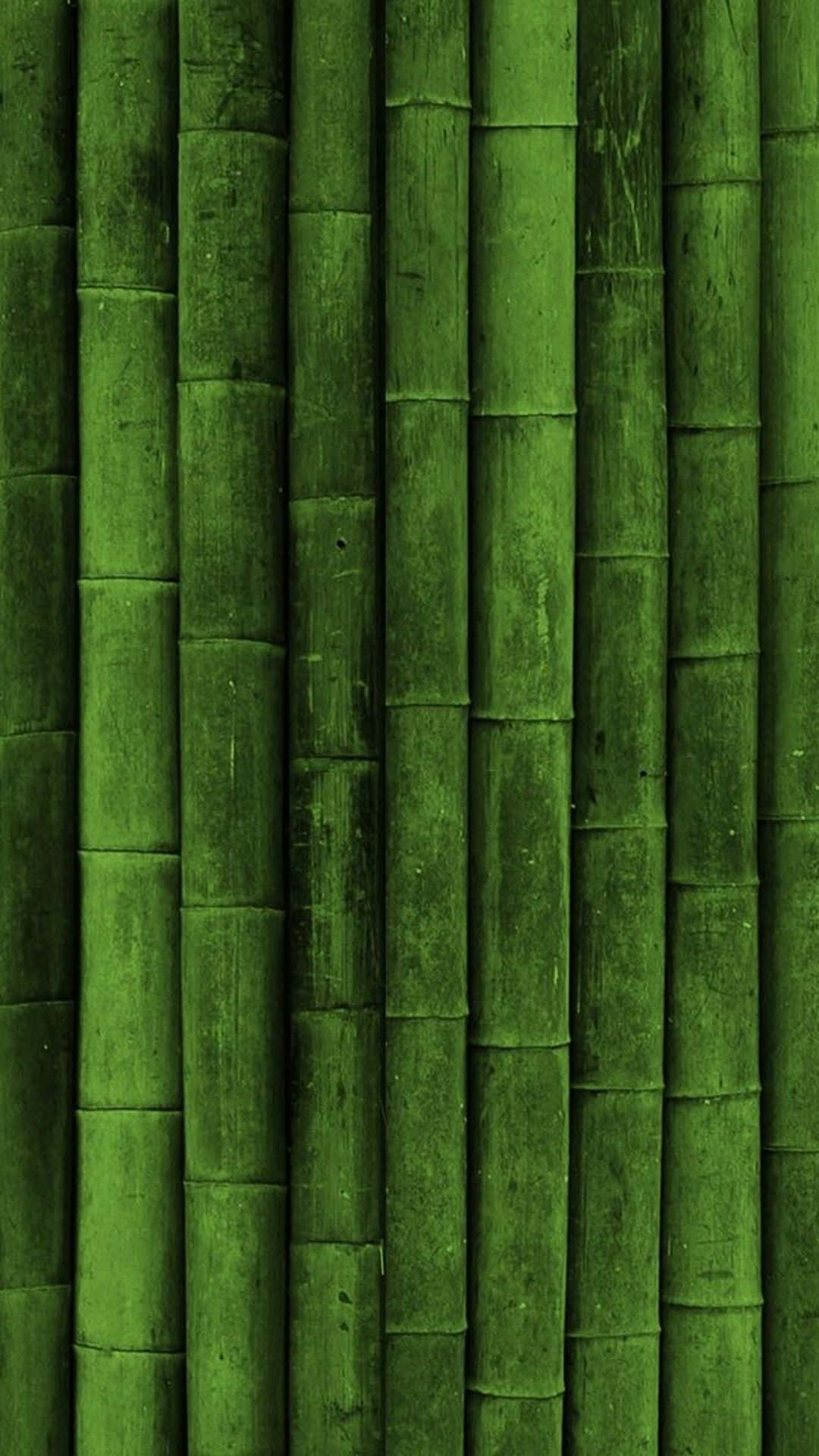 Dark Green Iphone Bamboo Trees