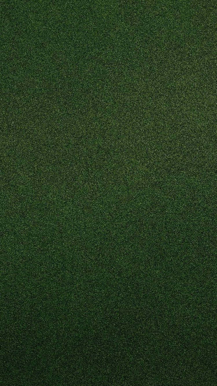 Dark Green Iphone Textured Poster Background