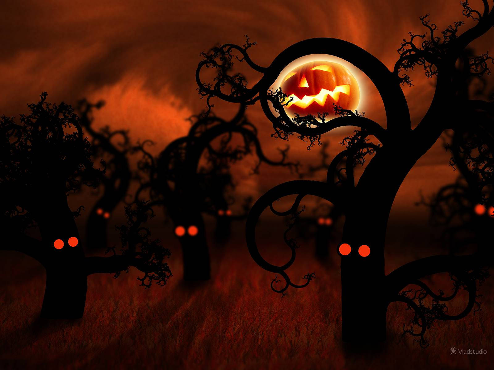 Dark Halloween Tree Eyes Background