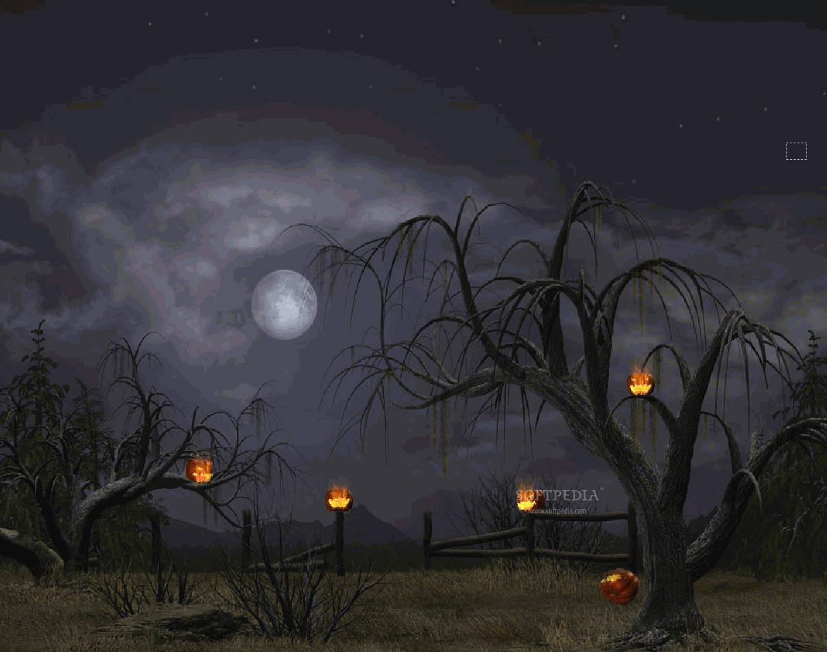 Dark Halloween Tree Lanterns Background