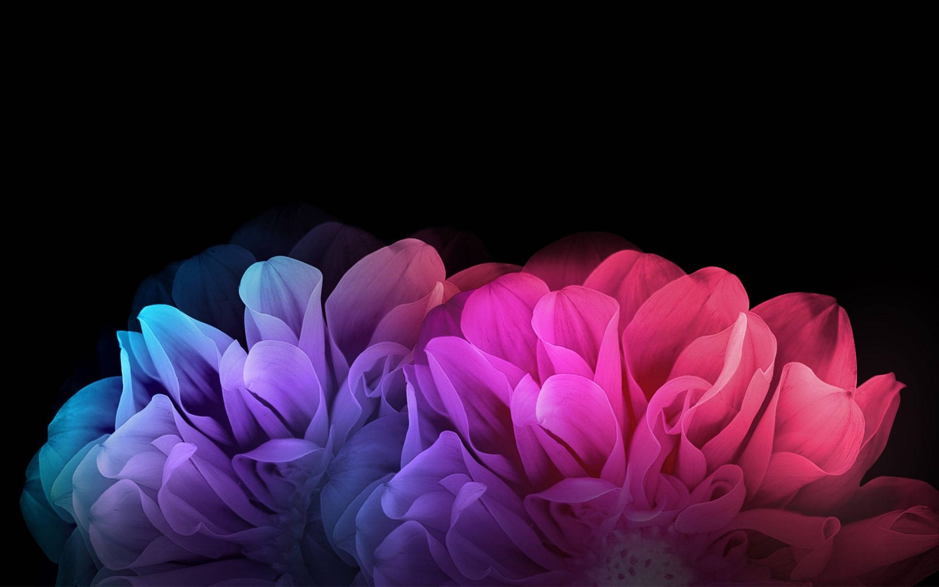 Dark Hd Flowers Abstract Desktop Background