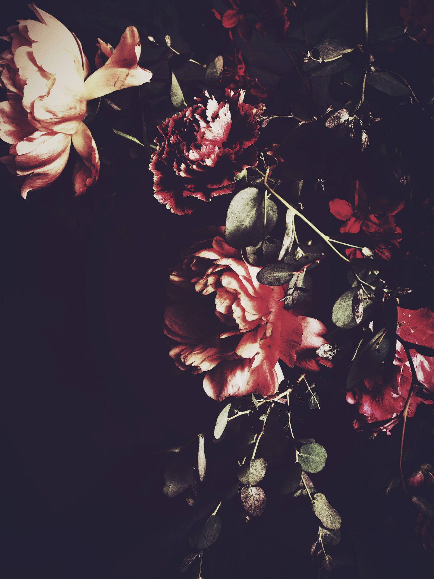 Dark Hd Flowers Vintage Aesthetic Background