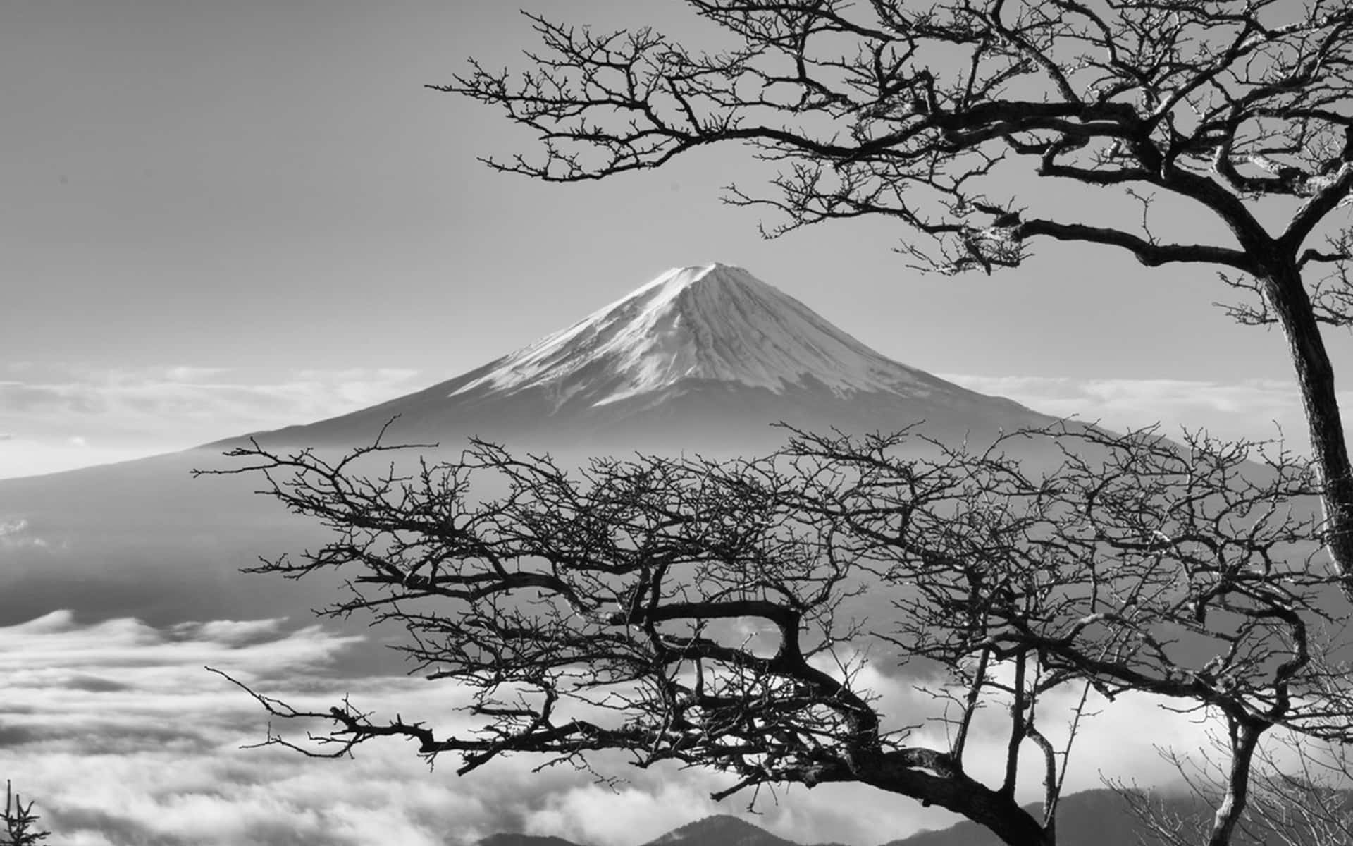 Dark Japanese Mount Fuji With Cherry Blossoms Background