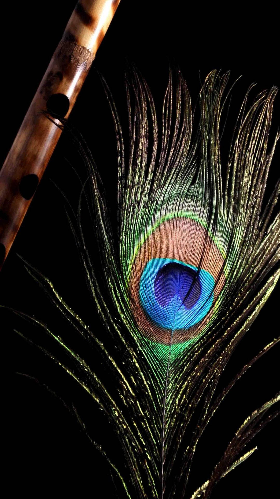 Dark Krishna Feather Background