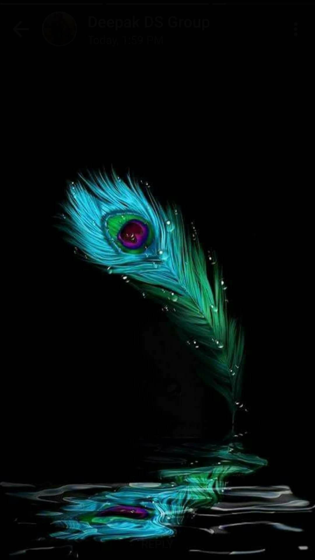 Dark Krishna Feather With A Liquid Background