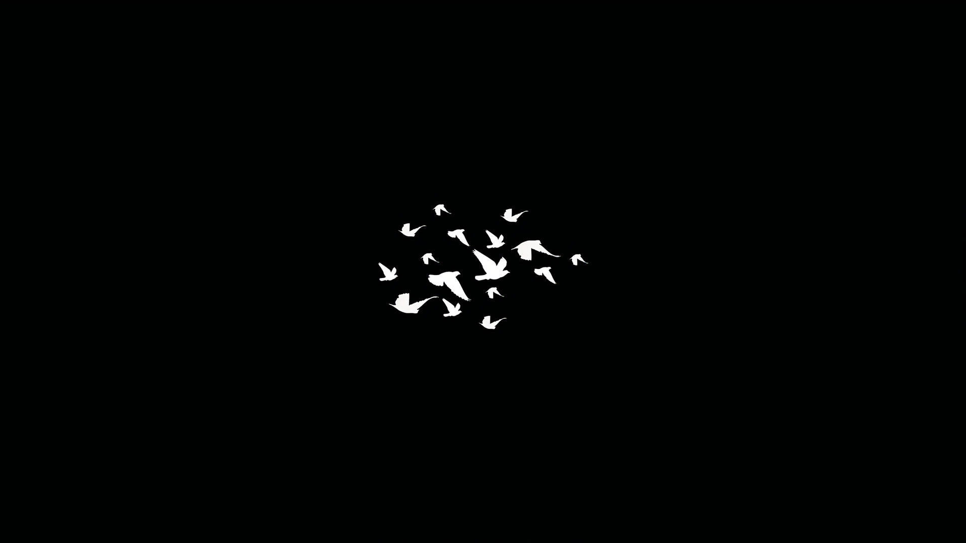 Dark Laptop Birds Compressed In The Center Background