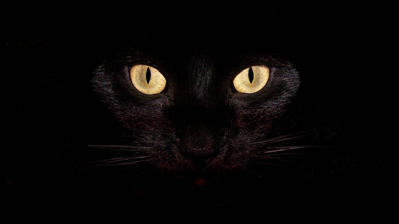 Dark Laptop Black Cat Eyes Background