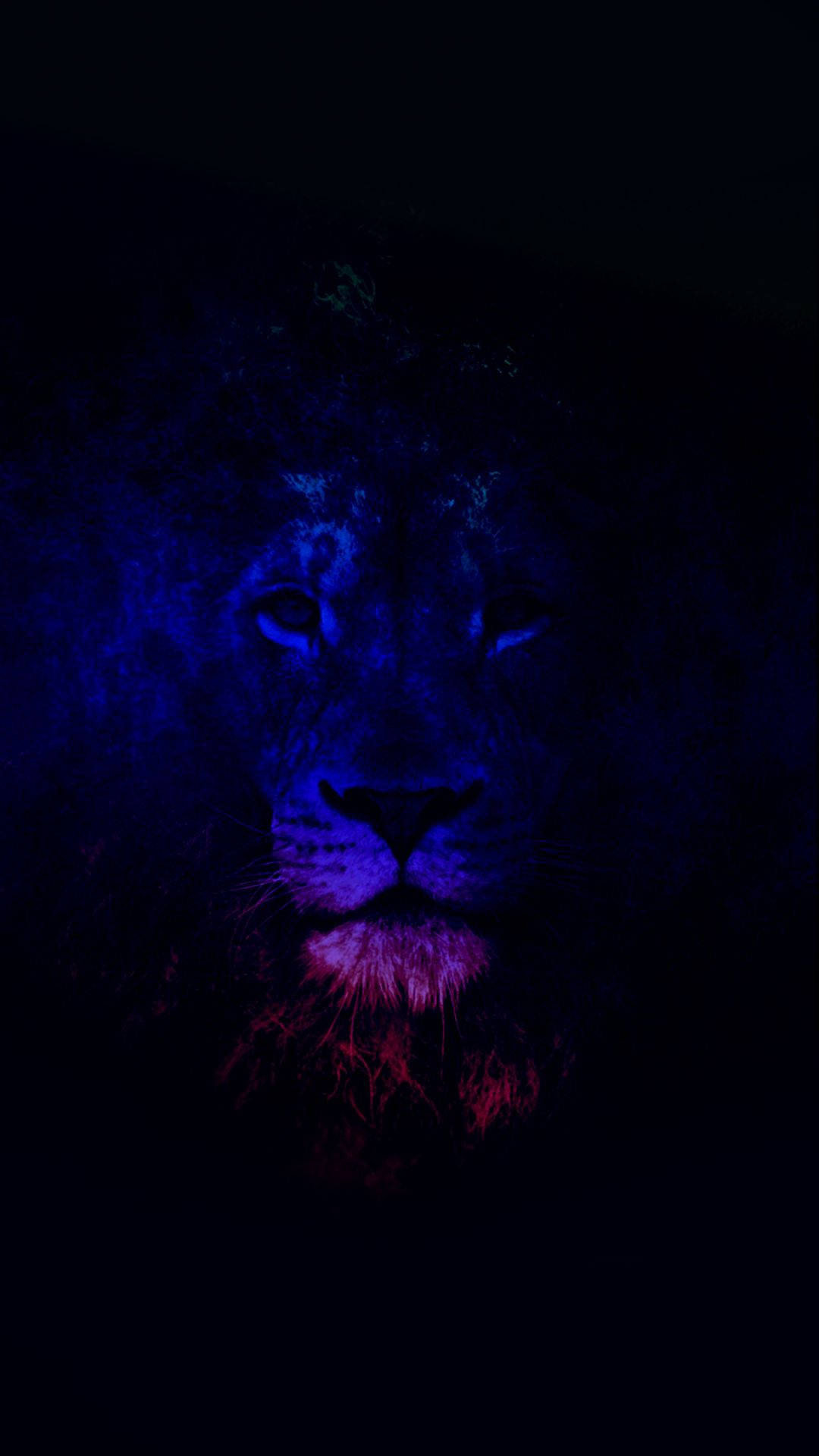 Dark Lion Galaxy Artwork Background