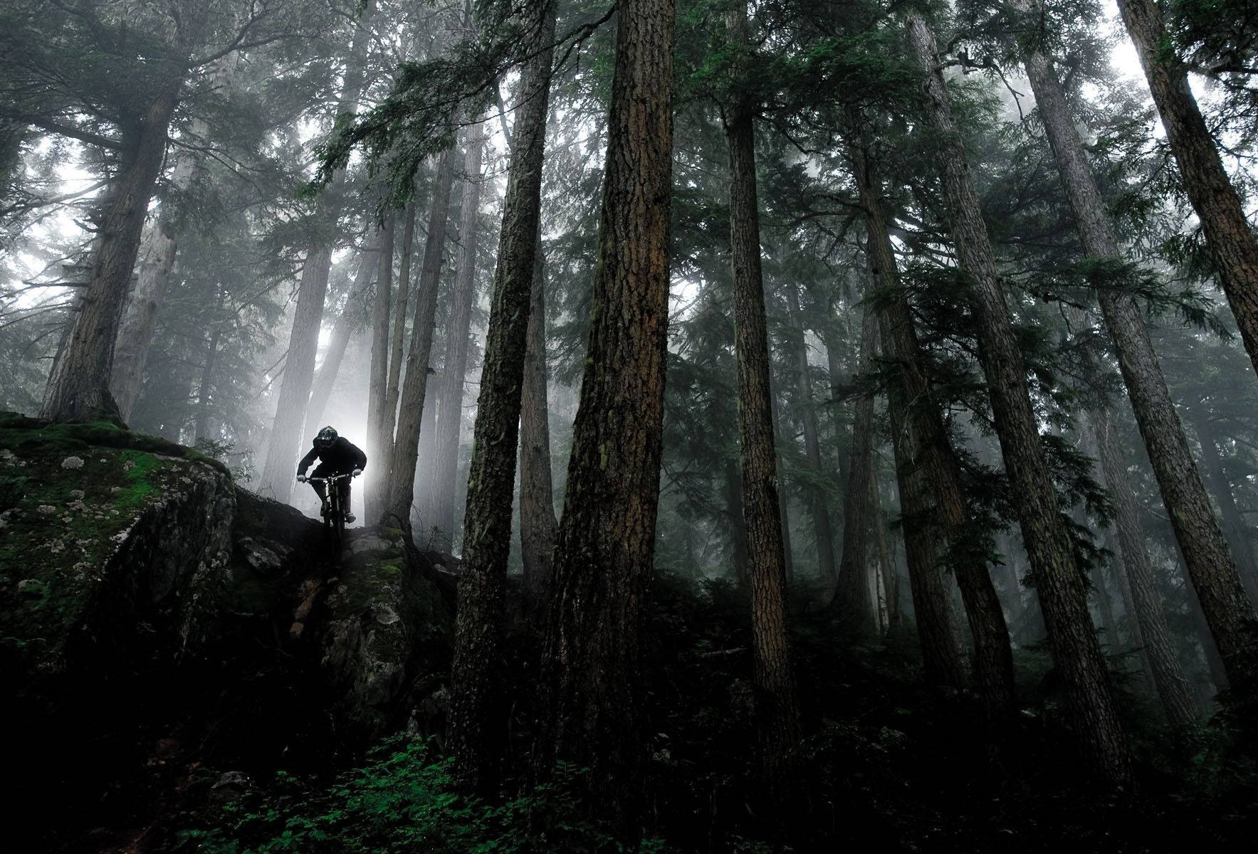 Dark Misty Forest Mtb Ride