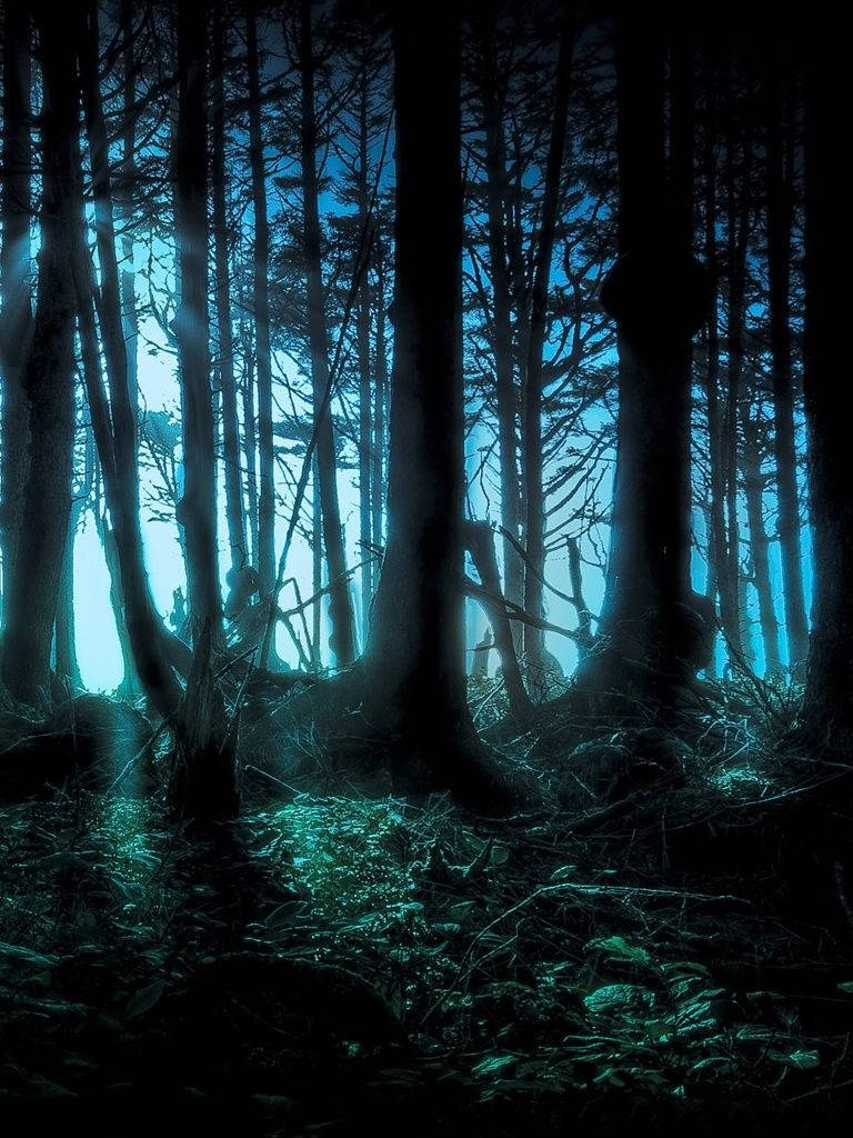 Dark Mystery Forest Digital Art