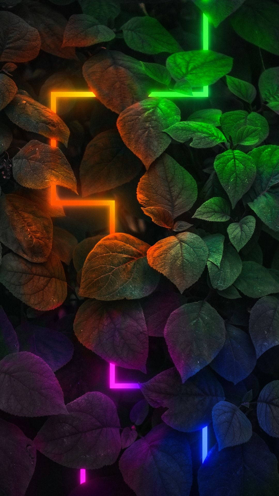 Dark Neon Lights With Leaves Background