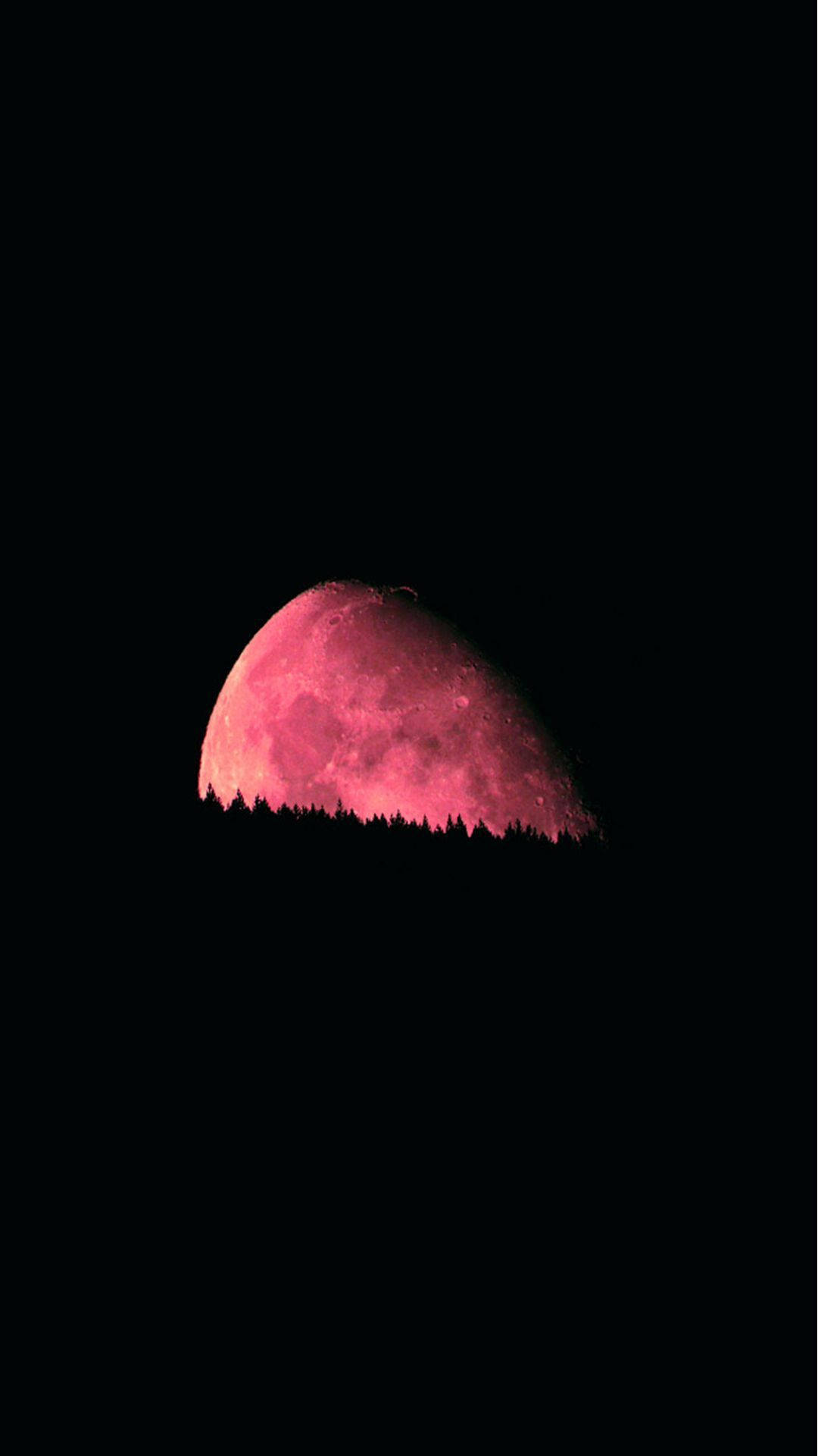 Dark Night And Blood Moon Background