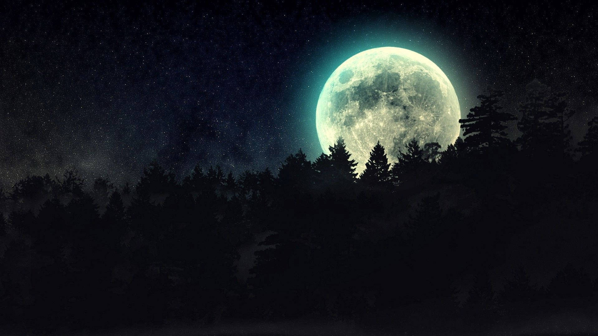 Dark Night Moon And Forest Background