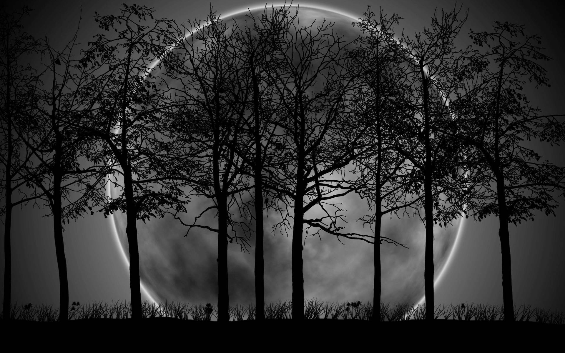 Dark Night Moon Row Of Trees Background