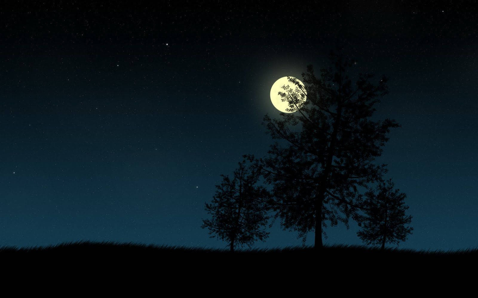 Dark Night With Tree And Moon Background