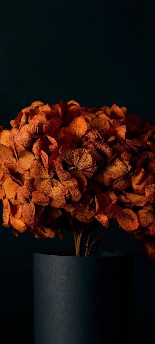 Dark Orange Floral Arrangement Background