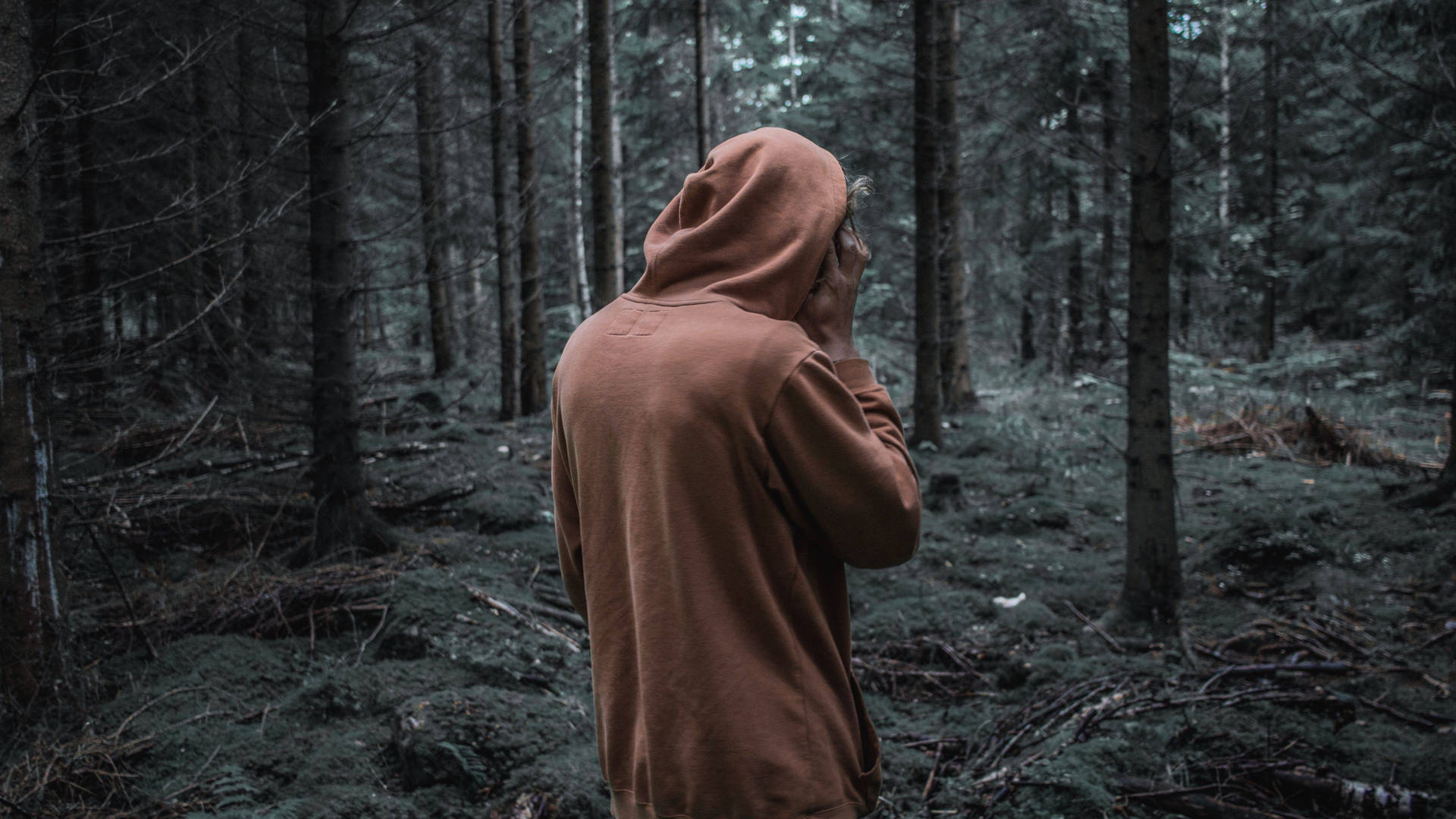 Dark Orange Hoodie In Forest Background