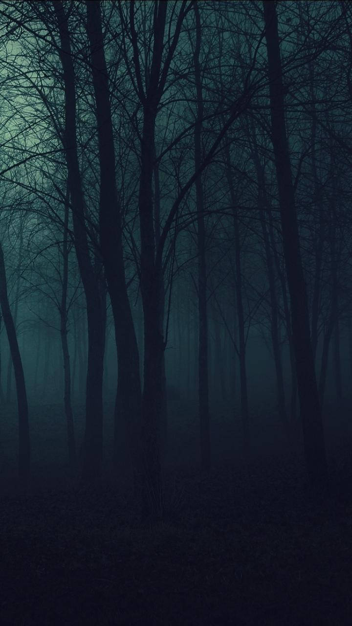 Dark Phone Eerie Woods Background