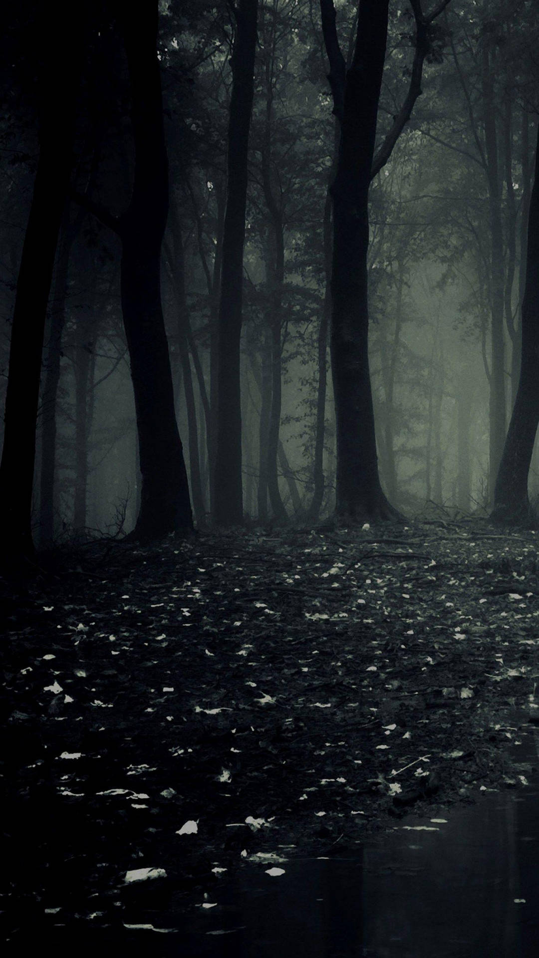 Dark Phone Scary Woods Background