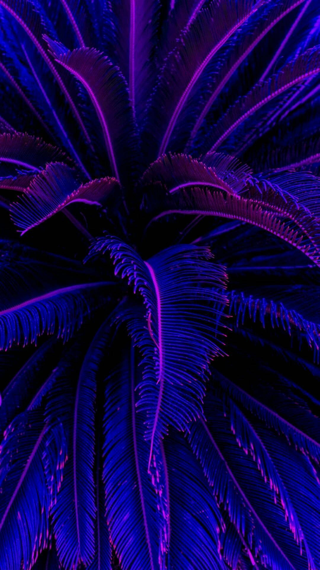 Dark Purple Aesthetic Coconut Trees Background